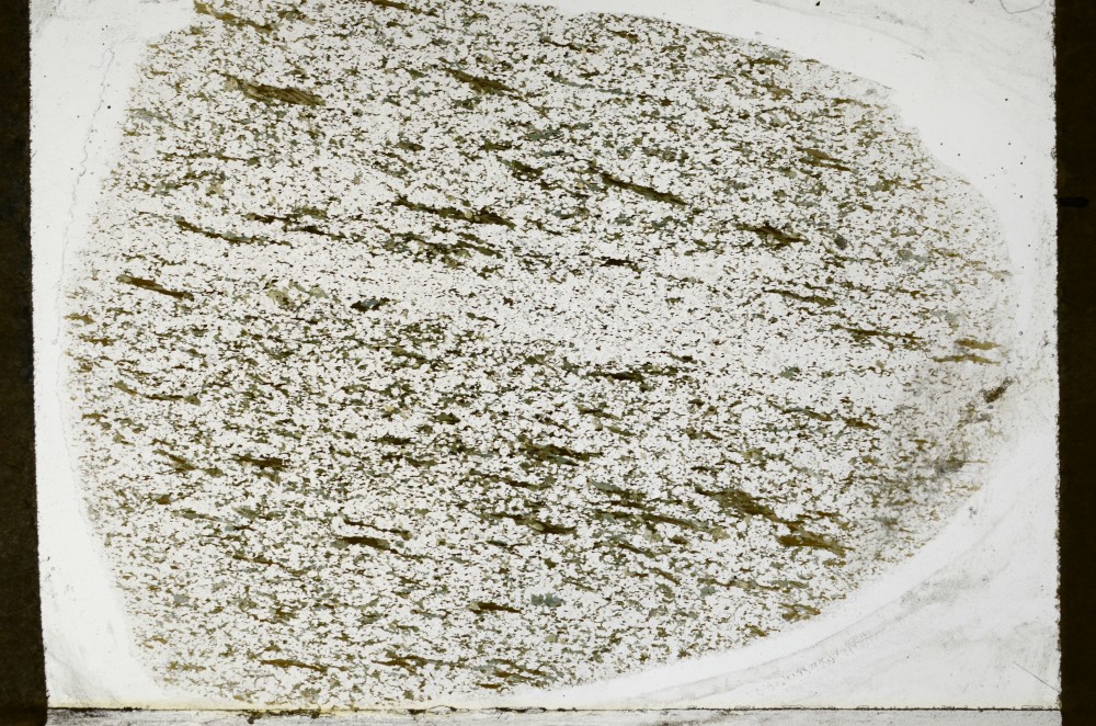 Plane Polarized, S64866