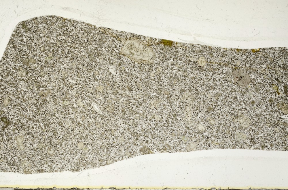 Plane Polarized, S64922