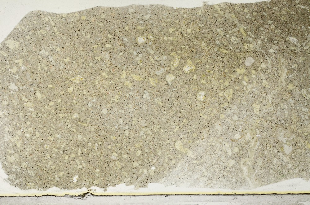 Plane Polarized, S64924