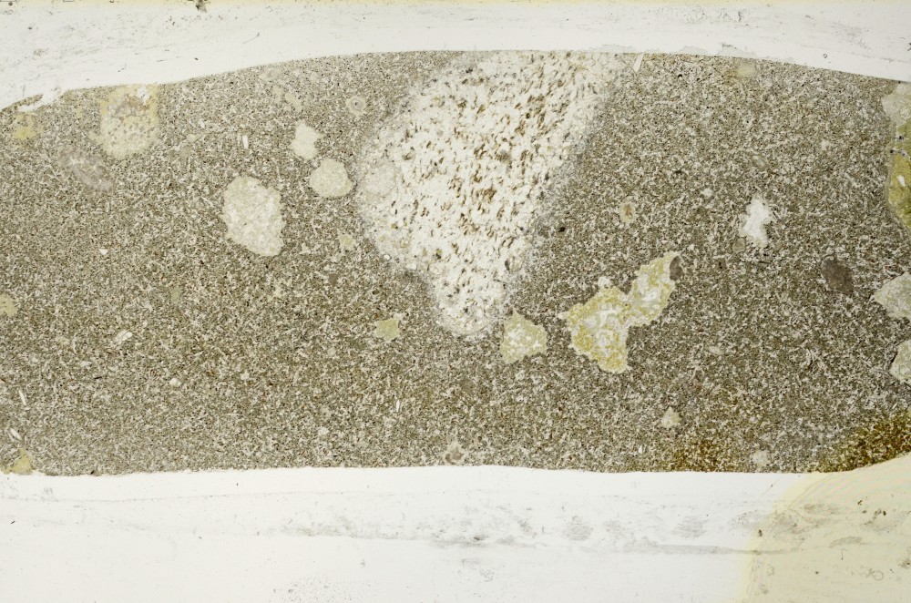 Plane Polarized, S64927