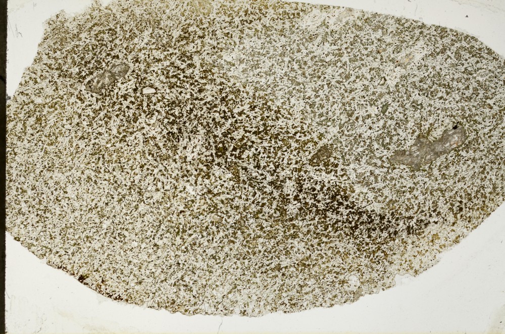 Plane Polarized, S64933