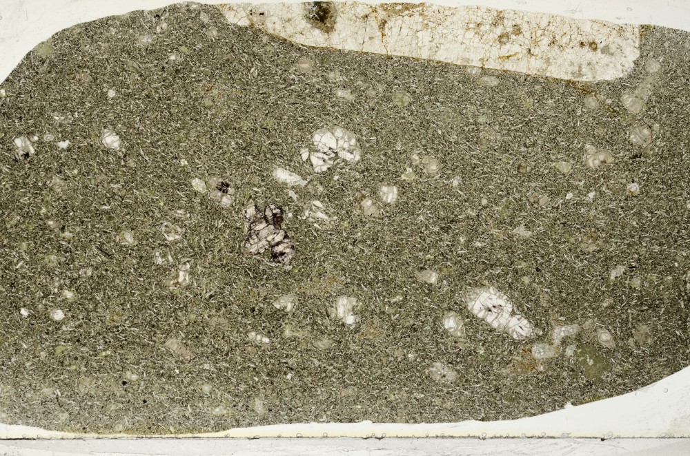 Plane Polarized, S64934