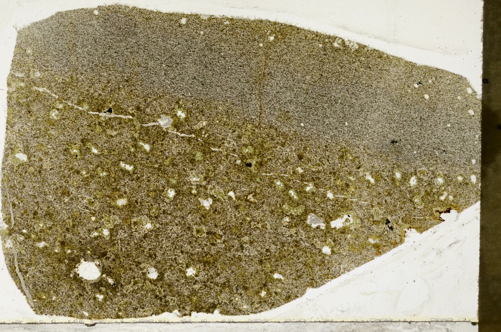 Plane Polarized, S64938