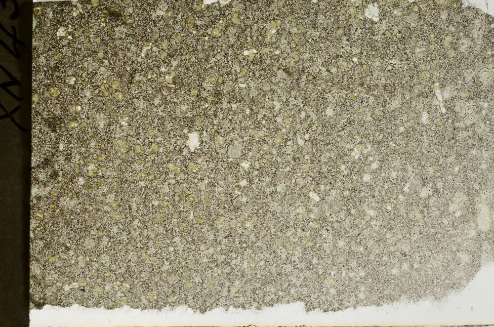 Plane Polarized, S64941