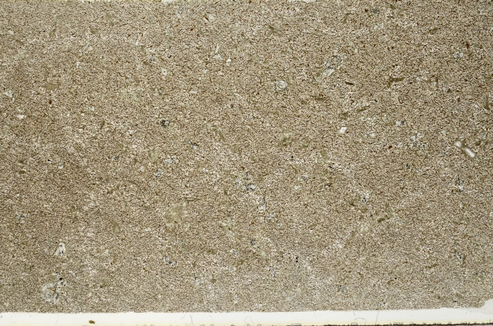 Plane Polarized, S64947