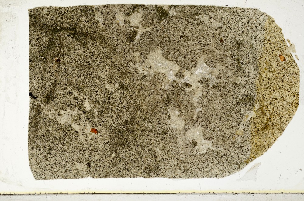 Plane Polarized, S64950