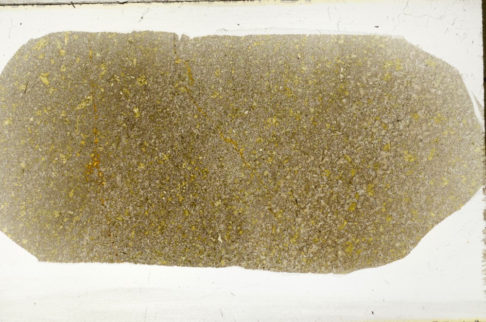 Plane Polarized, S64952