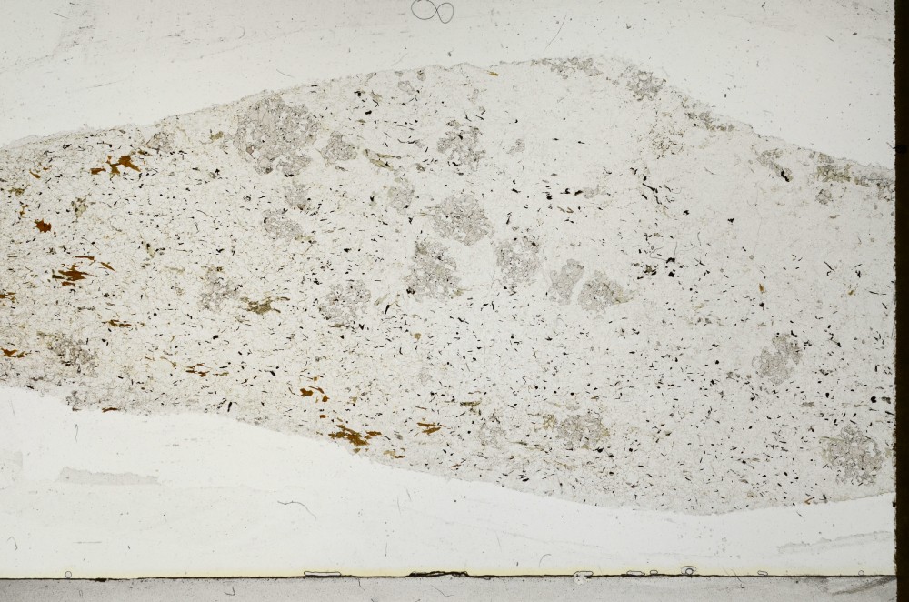 Plane Polarized, S64959