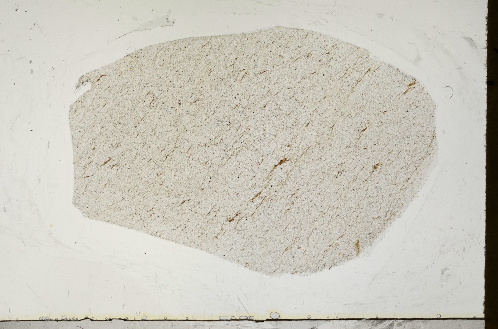 Plane Polarized, S64963