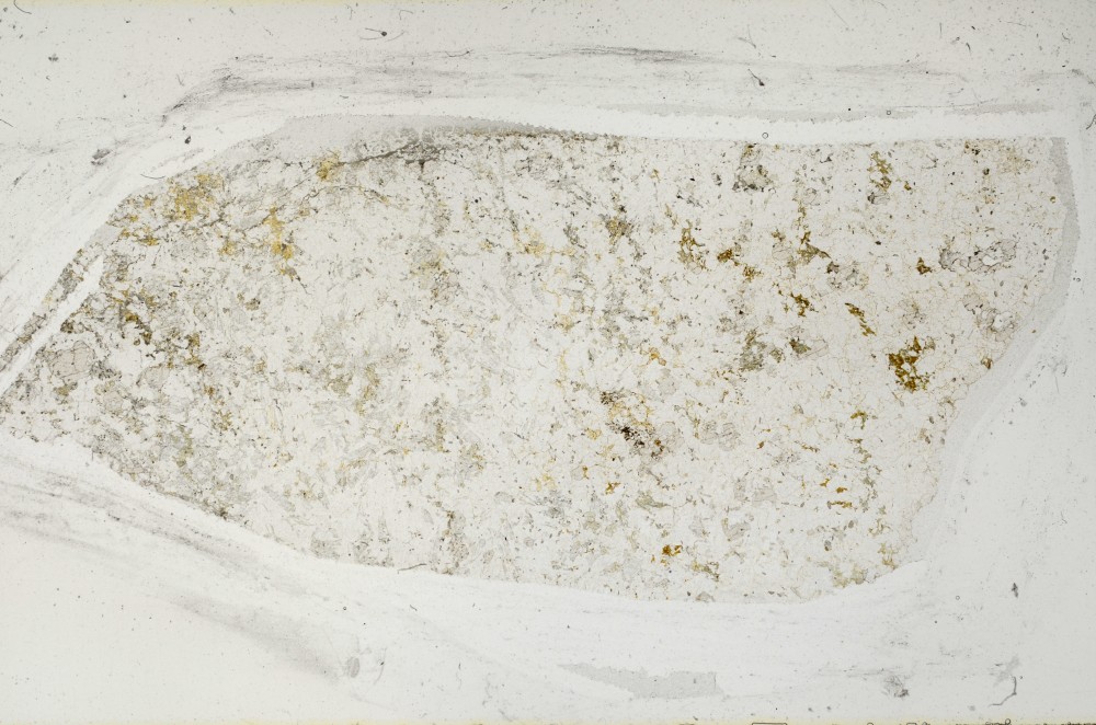 Plane Polarized, S64964