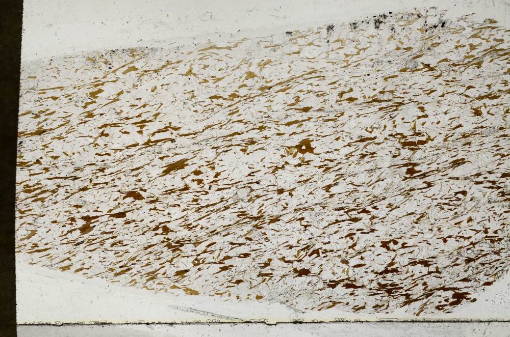 Plane Polarized, S64986
