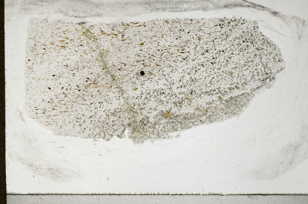 Plane Polarized, S64989