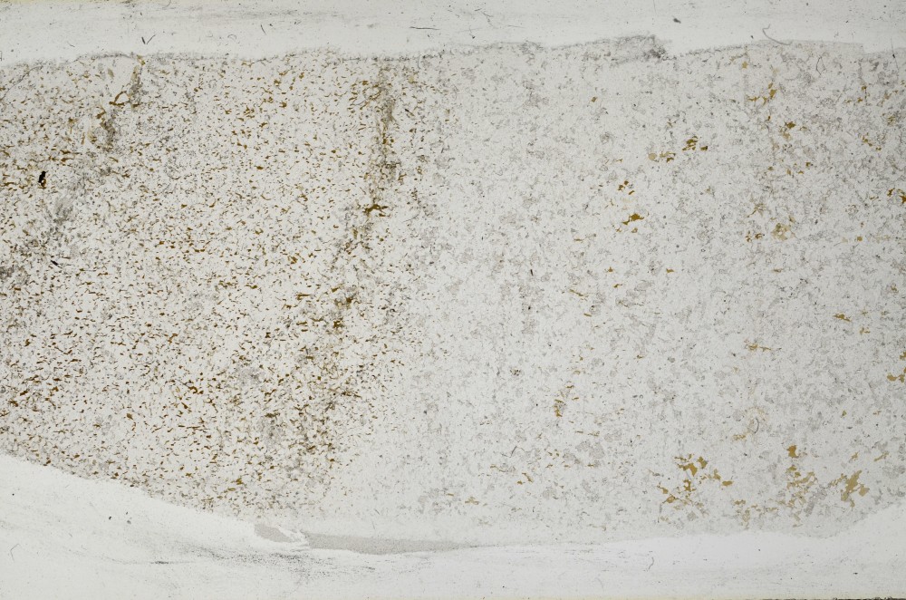 Plane Polarized, S64997