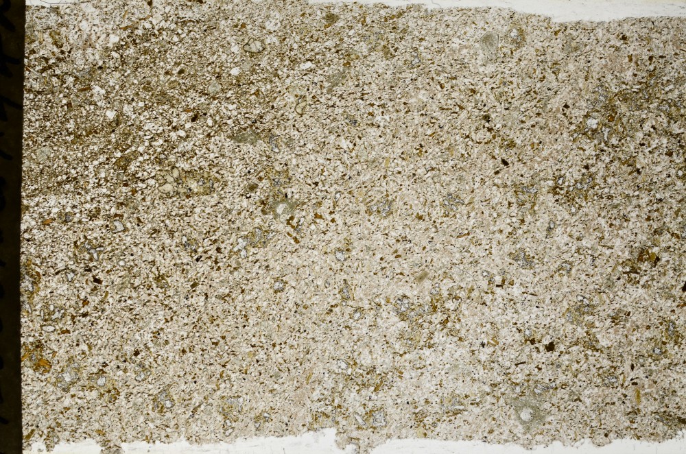 Plane Polarized, S65014