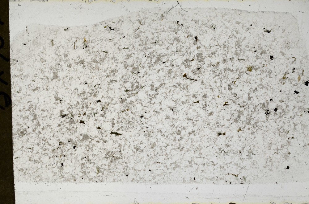 Plane Polarized, S65036