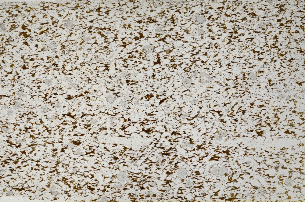 Plane Polarized, S65044