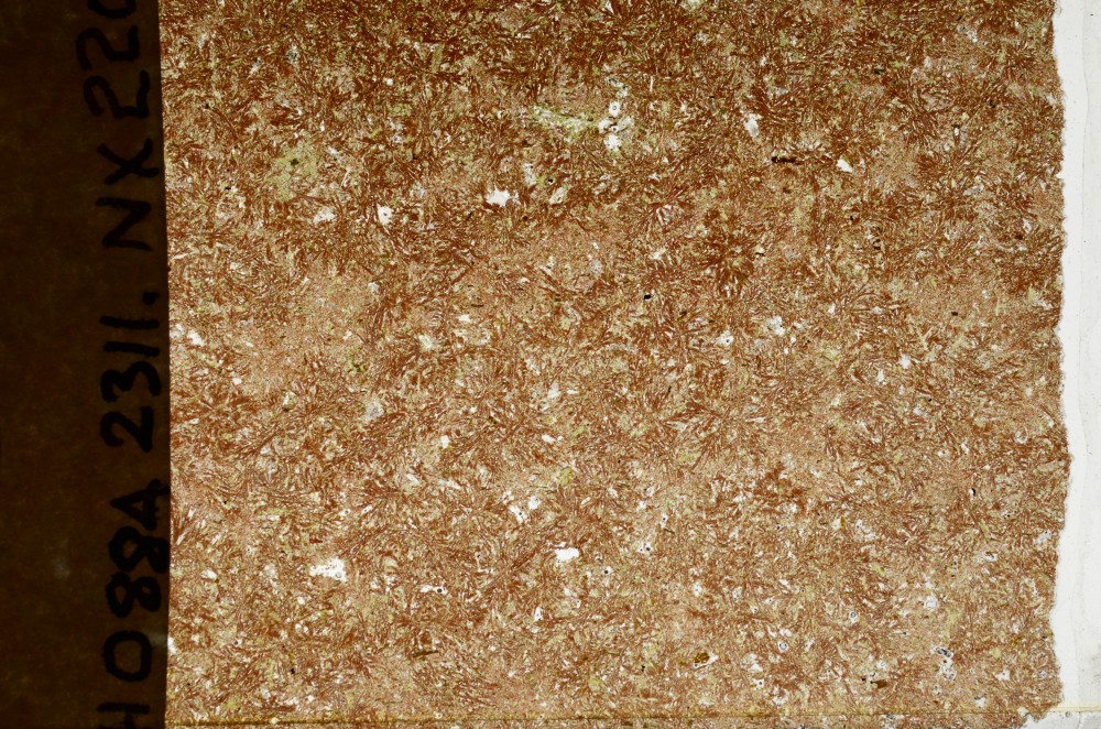 Plane Polarized, S65088