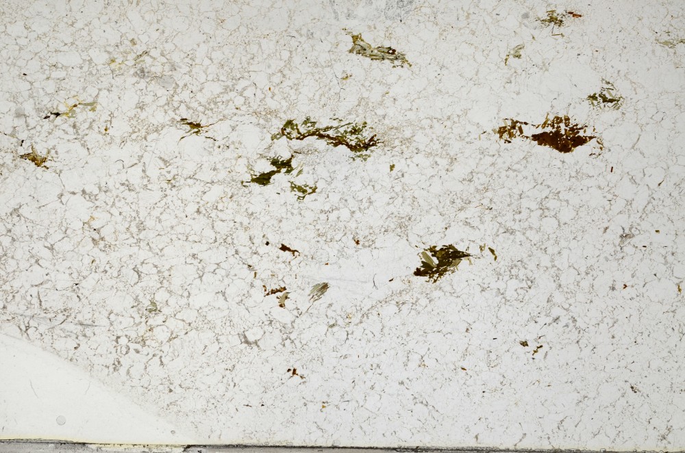 Plane Polarized, S65117