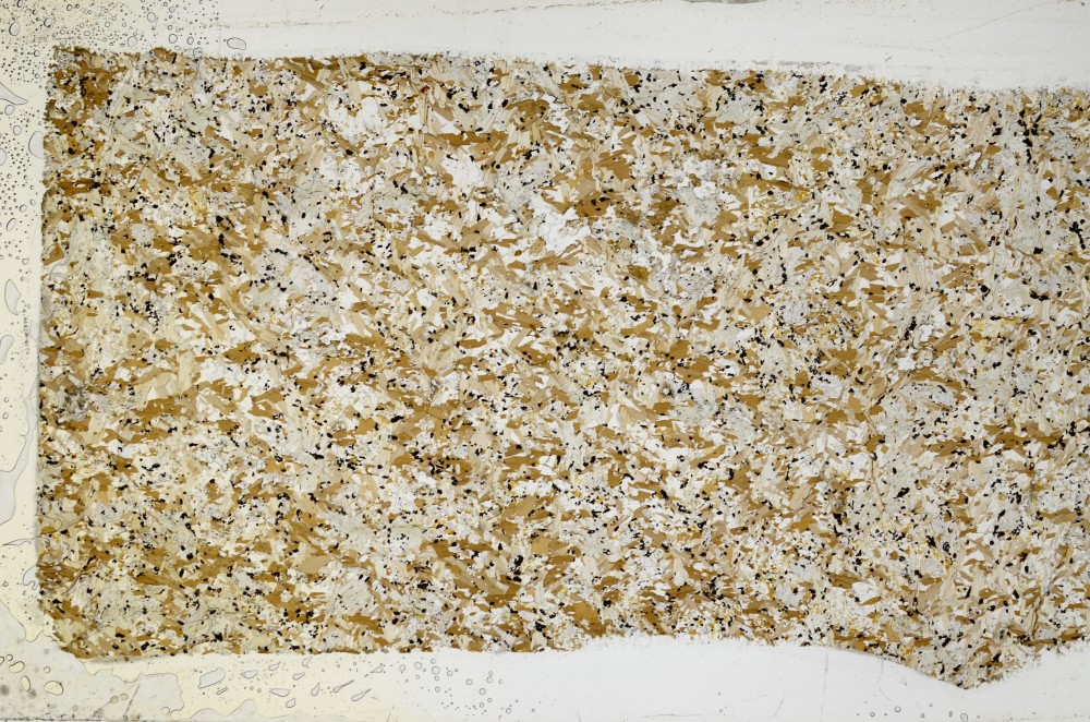 Plane Polarized, S65141