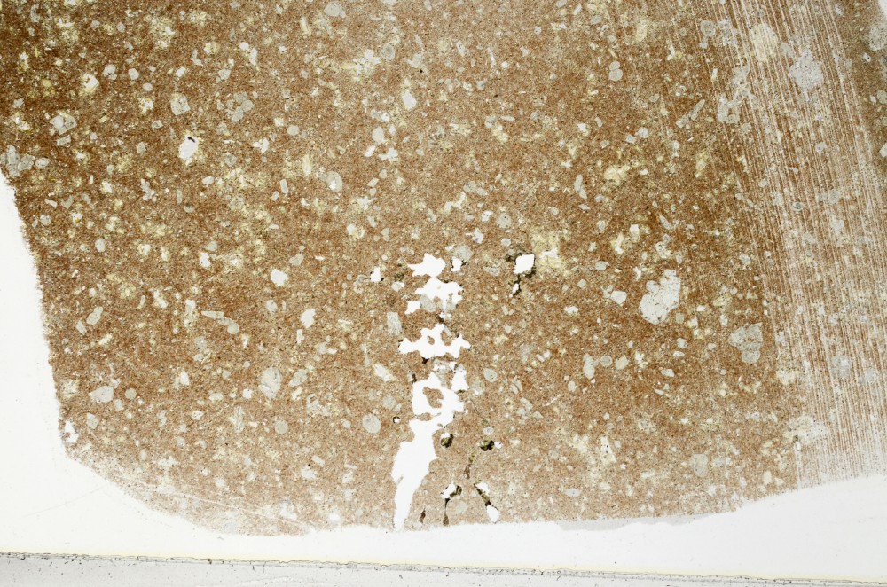 Plane Polarized, S65148