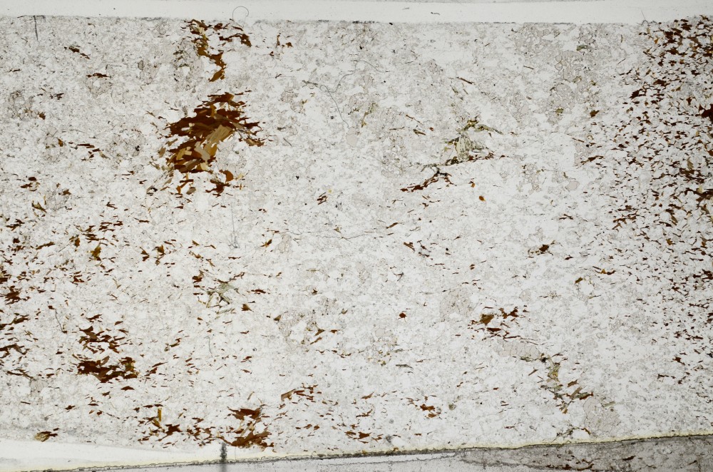 Plane Polarized, S65150
