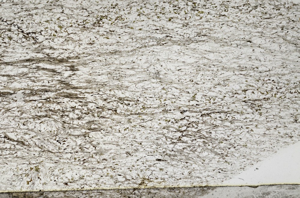 Plane Polarized, S65157