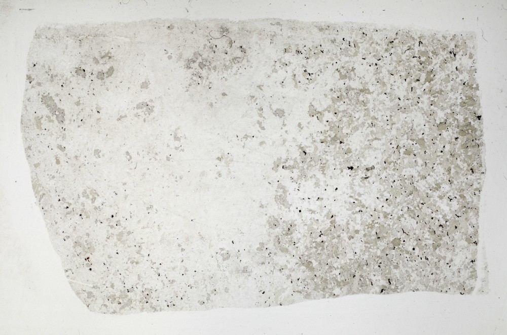 Plane Polarized, S65173/A