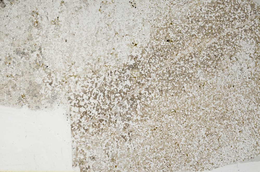 Plane Polarized, S65192