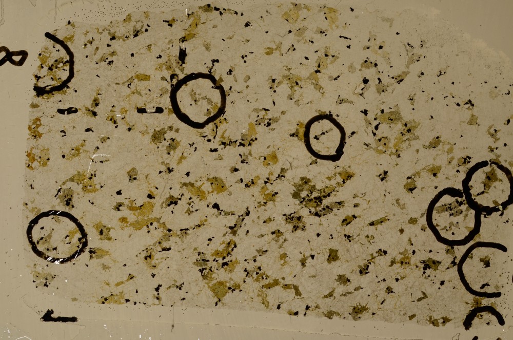 Plane Polarized, S65209