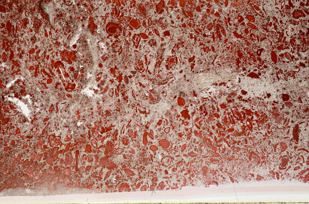 Plane Polarized, S65216/A