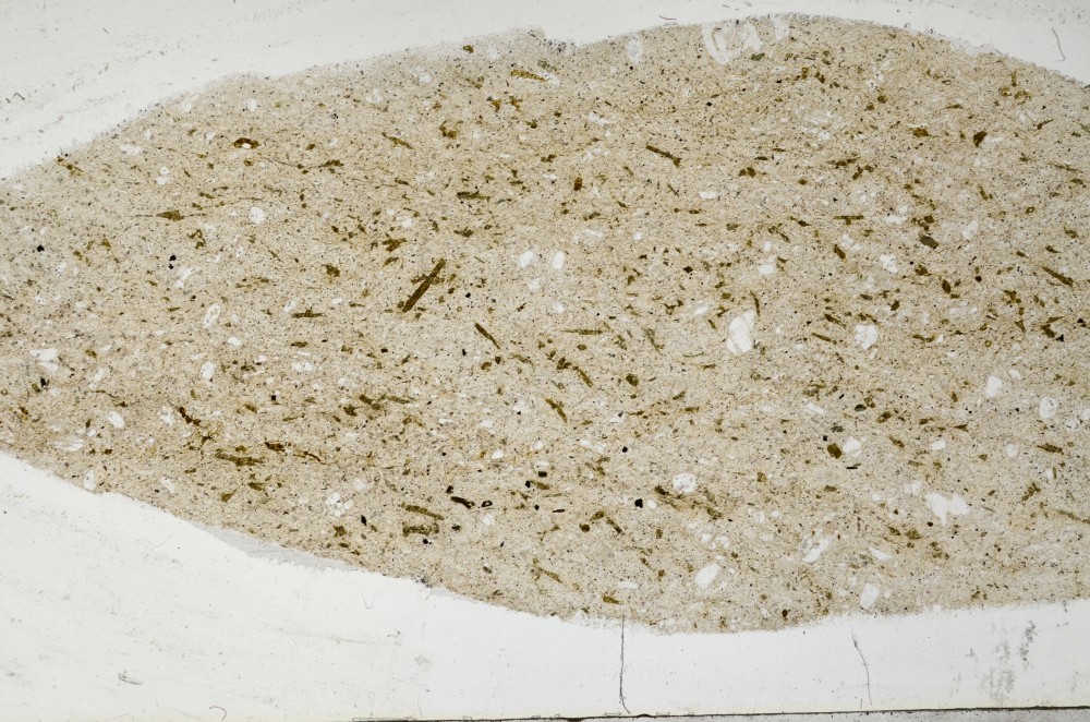 Plane Polarized, S65233