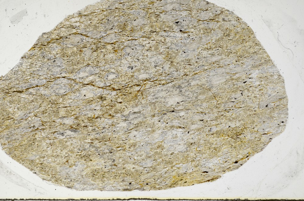 Plane Polarized, S65238