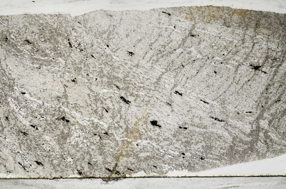 Plane Polarized, S65239
