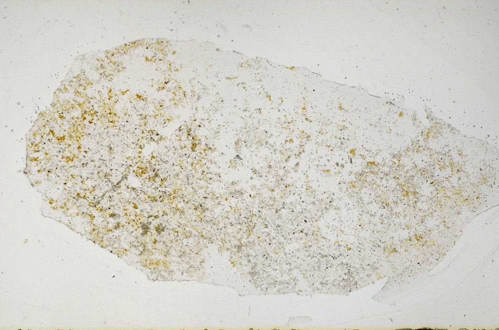 Plane Polarized, S65240