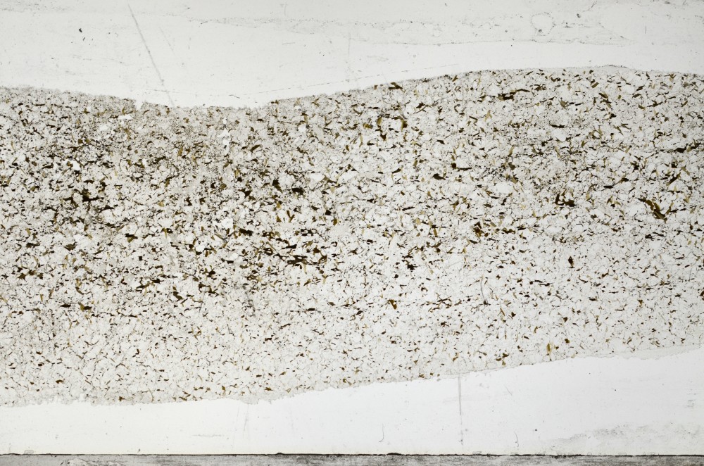 Plane Polarized, S65251