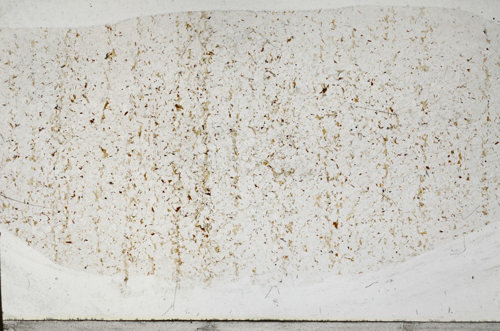 Plane Polarized, S65253