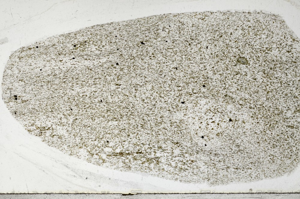 Plane Polarized, S65258