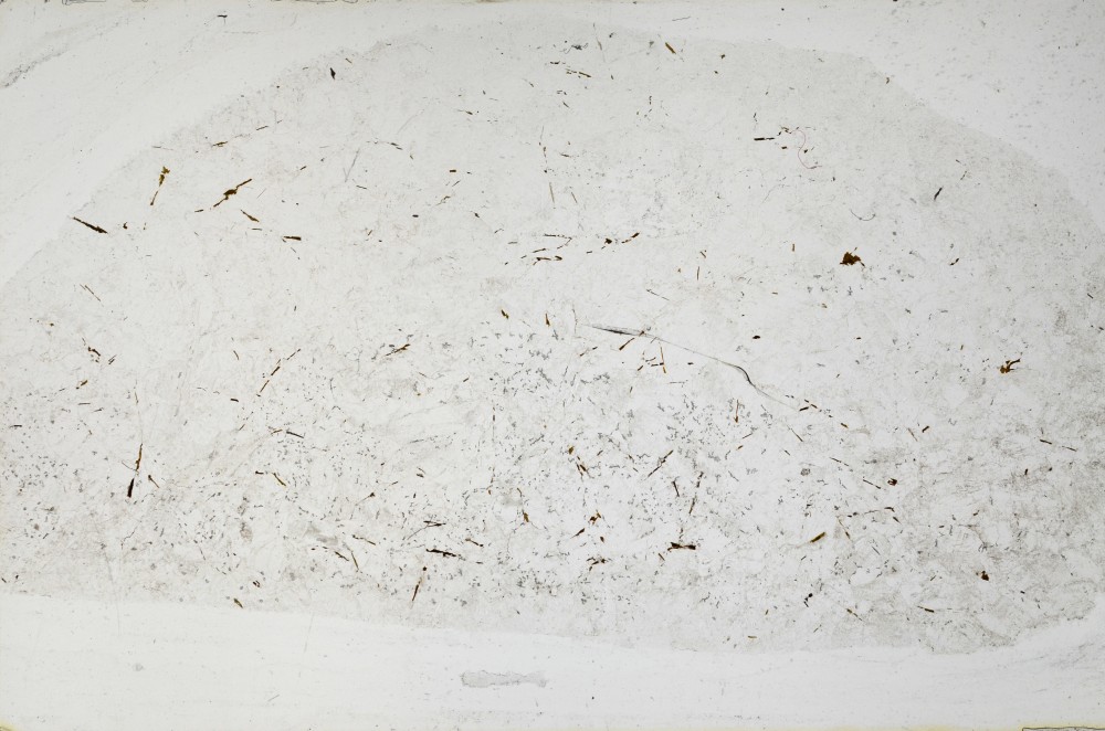 Plane Polarized, S65274