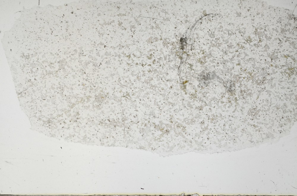 Plane Polarized, S65276