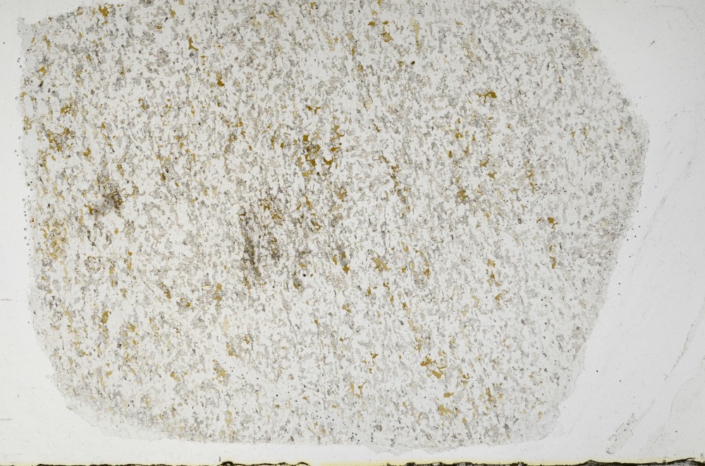 Plane Polarized, S65282