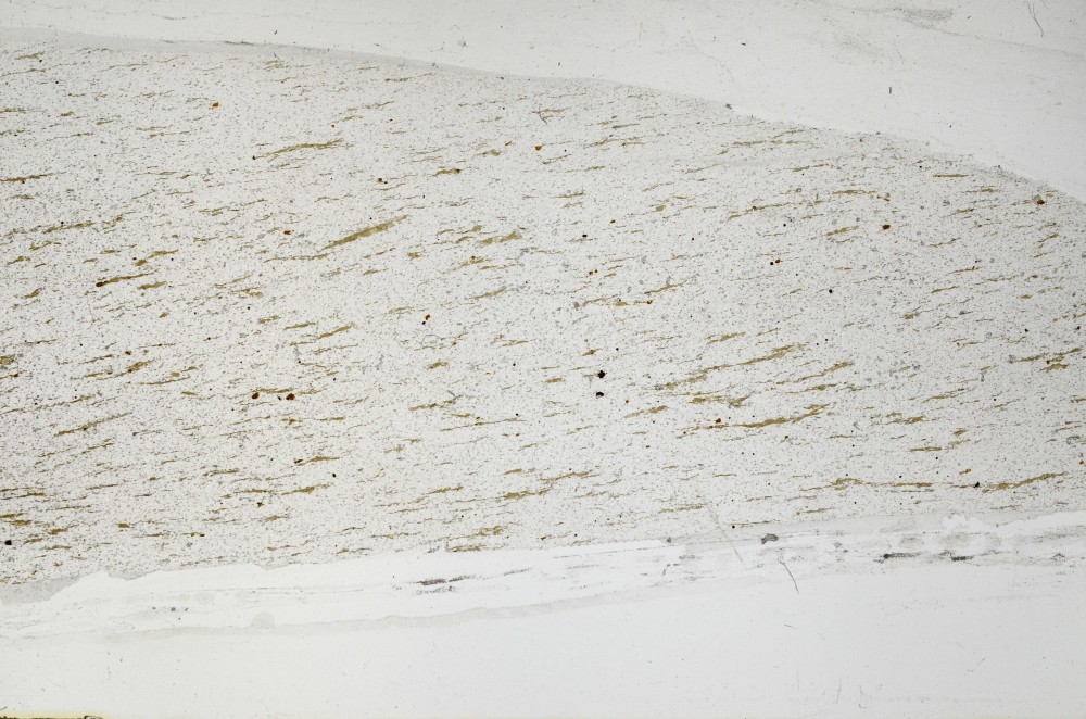 Plane Polarized, S65287