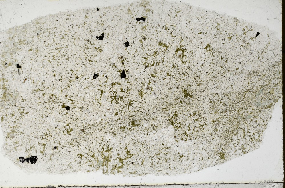 Plane Polarized, S65289