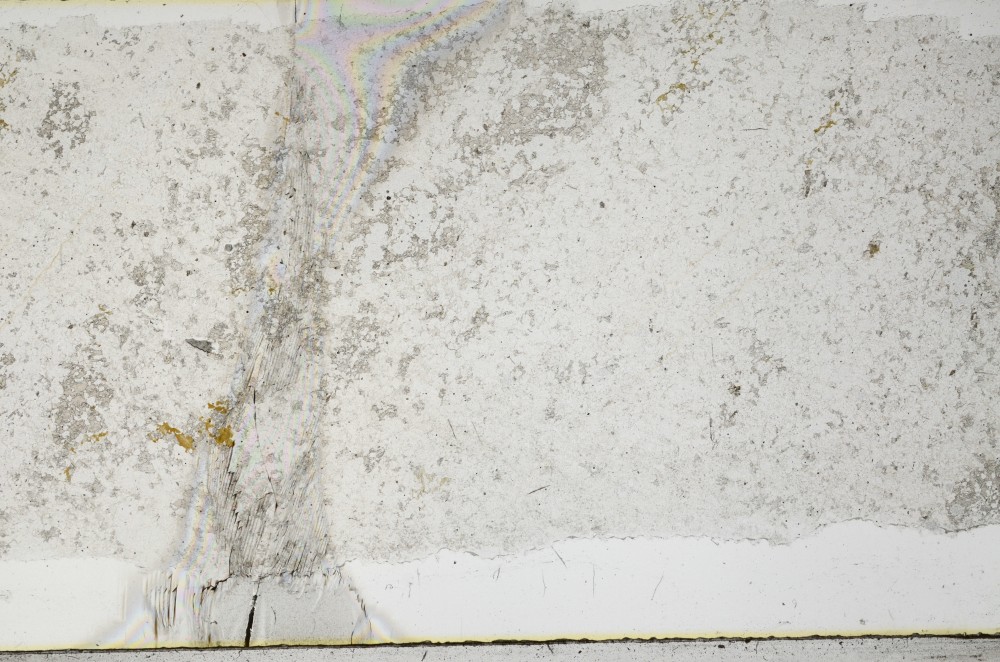 Plane Polarized, S65291