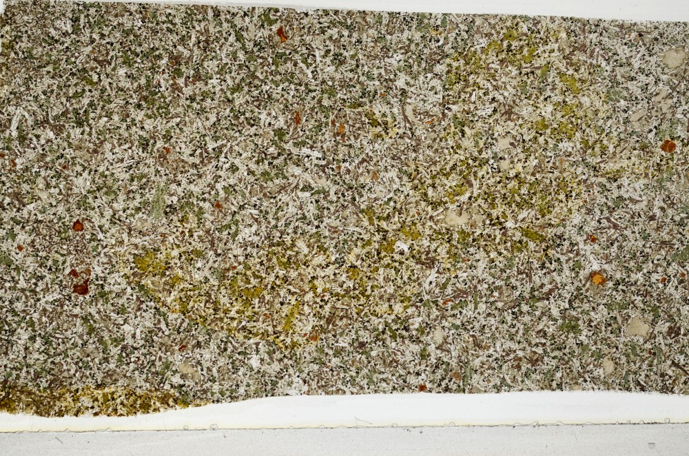 Plane Polarized, S65305