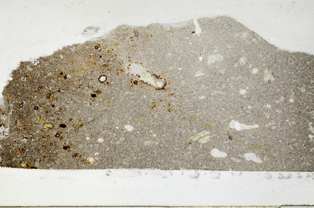 Plane Polarized, S65308