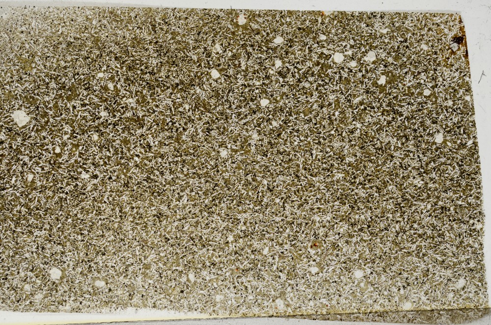 Plane Polarized, S65309