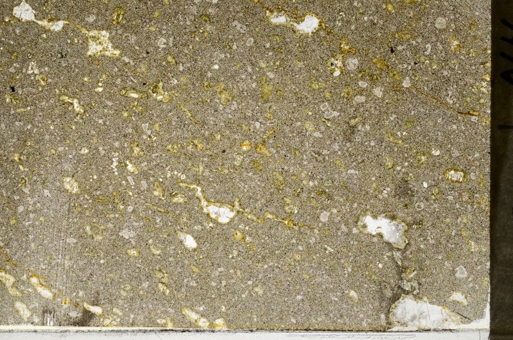 Plane Polarized, S65311