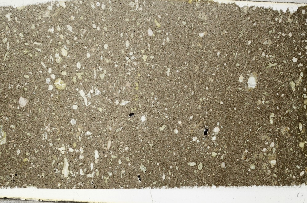 Plane Polarized, S65312