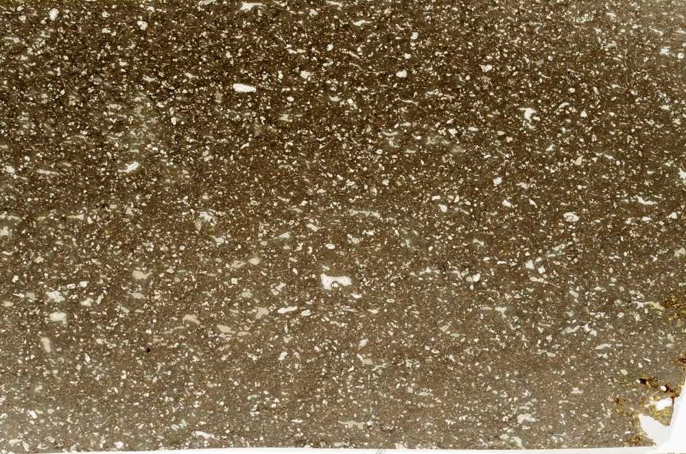 Plane Polarized, S65315