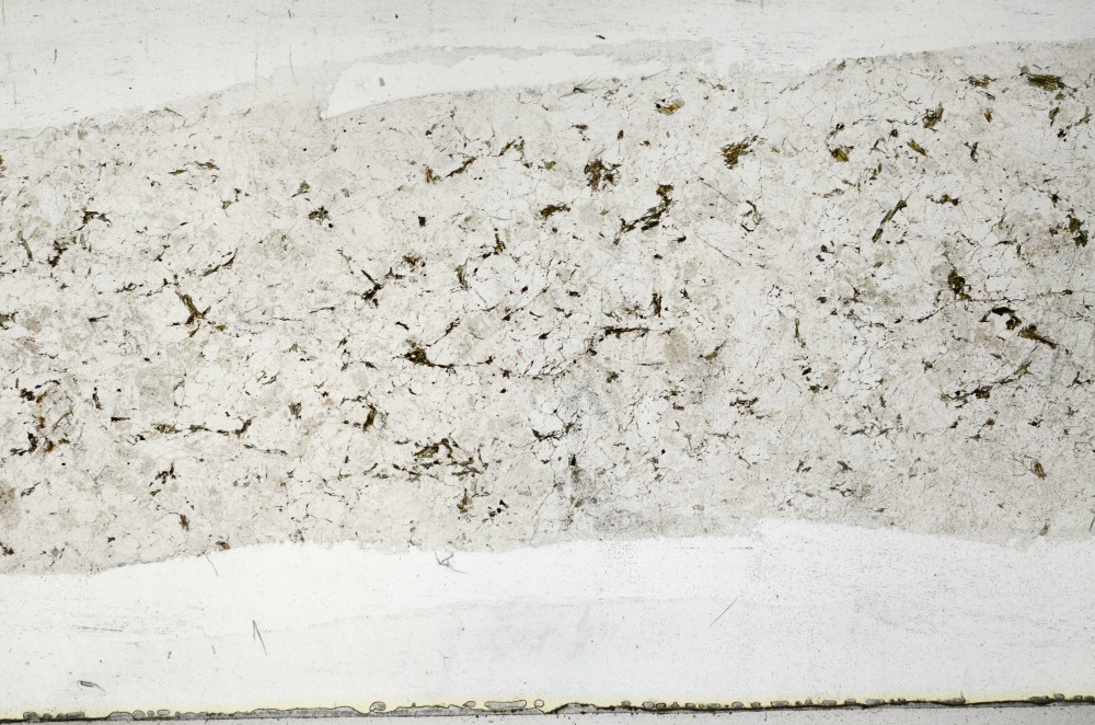 Plane Polarized, S65323